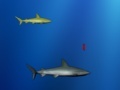 Spel Lost shark