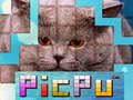 Spel PicPu Cat 