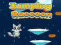 Spel Jumping Raccoon