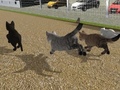 Spel Run Cat Cat Race