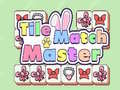 Spel Tile Match Master