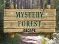 Spel Mystery Forest