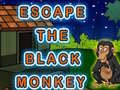 Spel Escape The Black Monkey