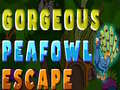 Spel Gorgeous Peafowl Escape