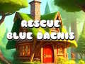 Spel Rescue Blue Dacnis