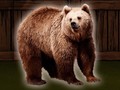 Spel Save The Grizzly Bear