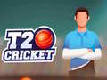 Spel T20 Cricket