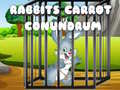 Spel Rabbits Carrot Conundrum