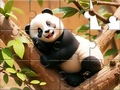Spel Jigsaw Puzzle: Panda On Tree