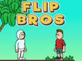 Spel Flip Bros