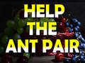Spel Help The Ant Pair