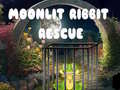 Spel Moonlit Ribbit Rescue