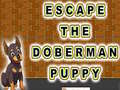Spel Escape The Doberman Puppy