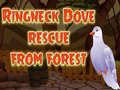 Spel Ringneck Dove Rescue From Forest