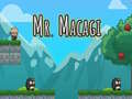 Spel Mr Macagi