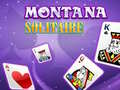 Spel Montana Solitaire