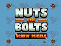 Spel Nuts and Bolts Screw Puzzle