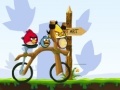 Spel Angry Birds Bike Revenge