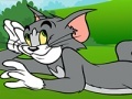 Spel Tom and Jerry ATV Adventure