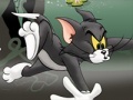 Spel Tom And Jerry Chase In Marsh
