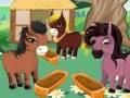 Spel Princess' Ponies