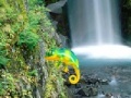 Spel Colorful Chameleon Sniper