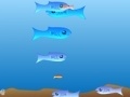 Spel Aquarium fish