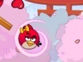 Spel Angry Birds Lover