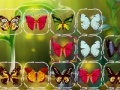 Spel Butterfly Connect