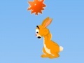 Spel Hopi: The Jumping Rabbit