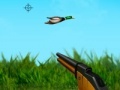 Spel The duck hunter