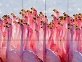 Spel Flamingo family slide puzzle