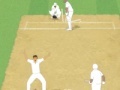 Spel Cricket Umpire Decision