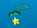 Spel Star Fish