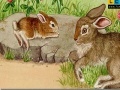Spel Rabbits at the farm puzzle 