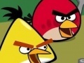Spel Memory - Angry Birds