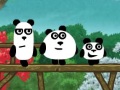 3 Pandas spellen 