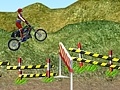 Spel Motorcycle Rally