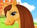 Spel Belle's Caring Horse