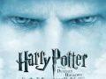 Spel Harry Potter and the deathly Hallows Find the Numbers