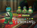 Spel Teenage Mutant Ninja Turtles: Ninja Training