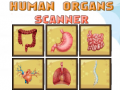 Spel Human Organs Scanner