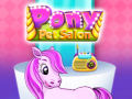 Spel Pony Pet Salon