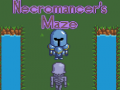 Spel Necromancer's Maze
