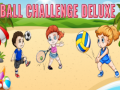 Spel Ball Challenge Deluxe
