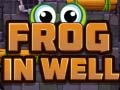 Spel Frog In Well