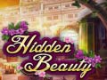 Spel Hidden Beauty