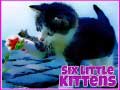 Spel Six Little Kittens