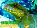 Spel Chinese Water Dragon Jigsaw