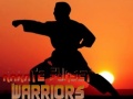 Spel Karate Sunset Warriors